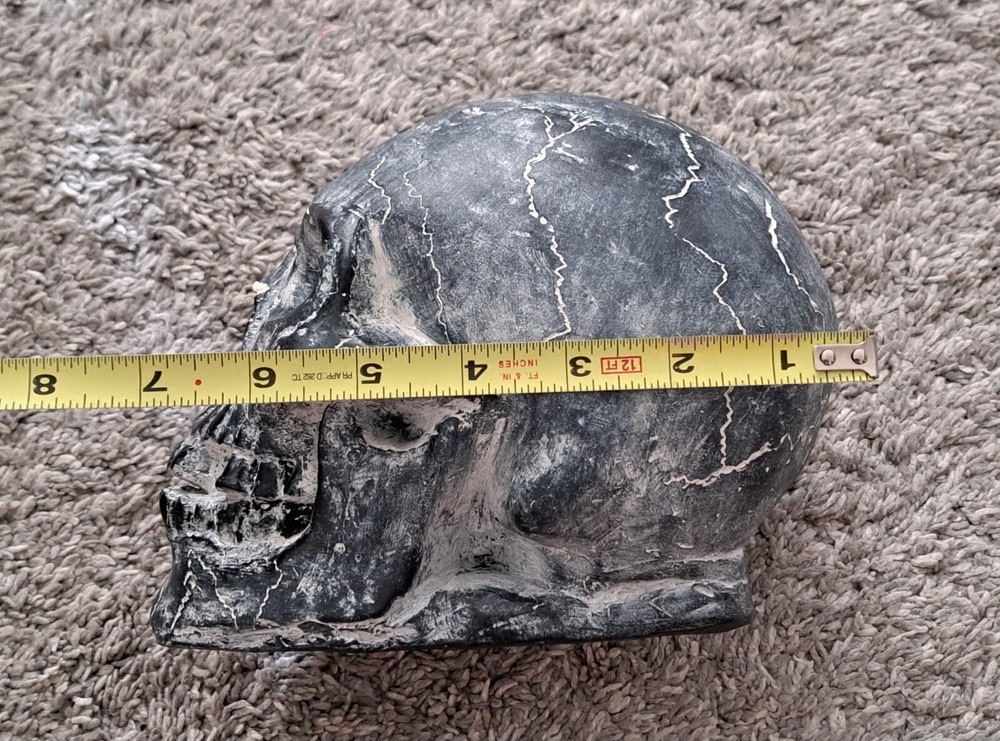 Skull