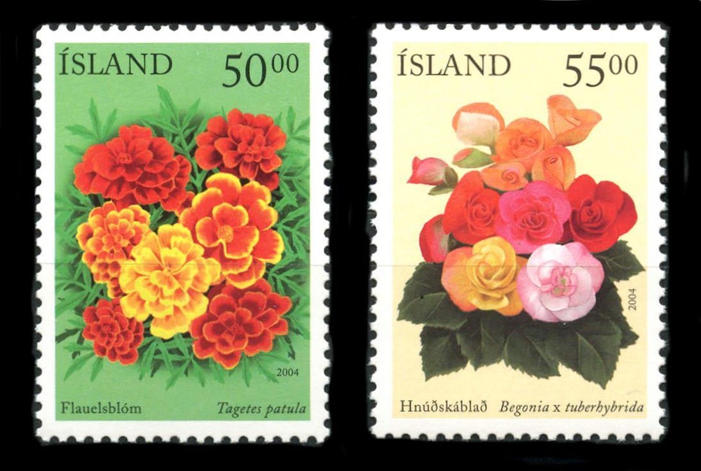 Iceland: 2004 Flowers (1005-1006) MNH