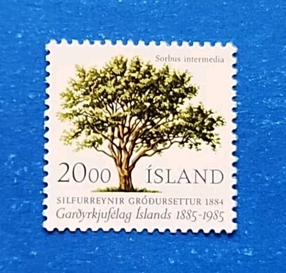 Iceland Stamp, Scott 608 MLH
