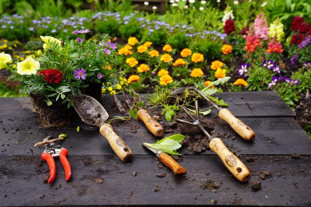 Cape Cod Weeder – Right Hand | Hand Weeding Tool for Tight Spaces | Tempered ...