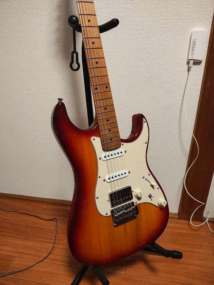 Bacchus GS-2DX RSM/M with modification