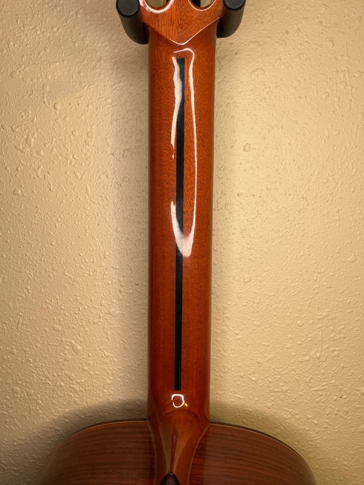 Alhambra 5P Classical Guitar With Hard Case