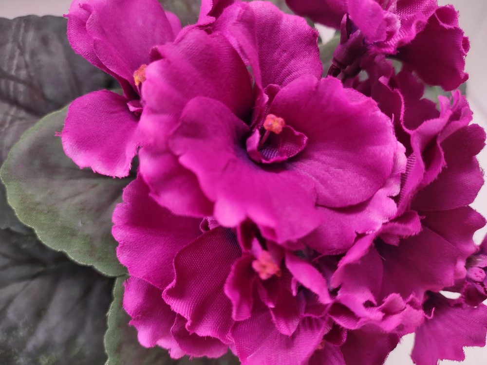 9" Artificial African violet (Magenta) without pot