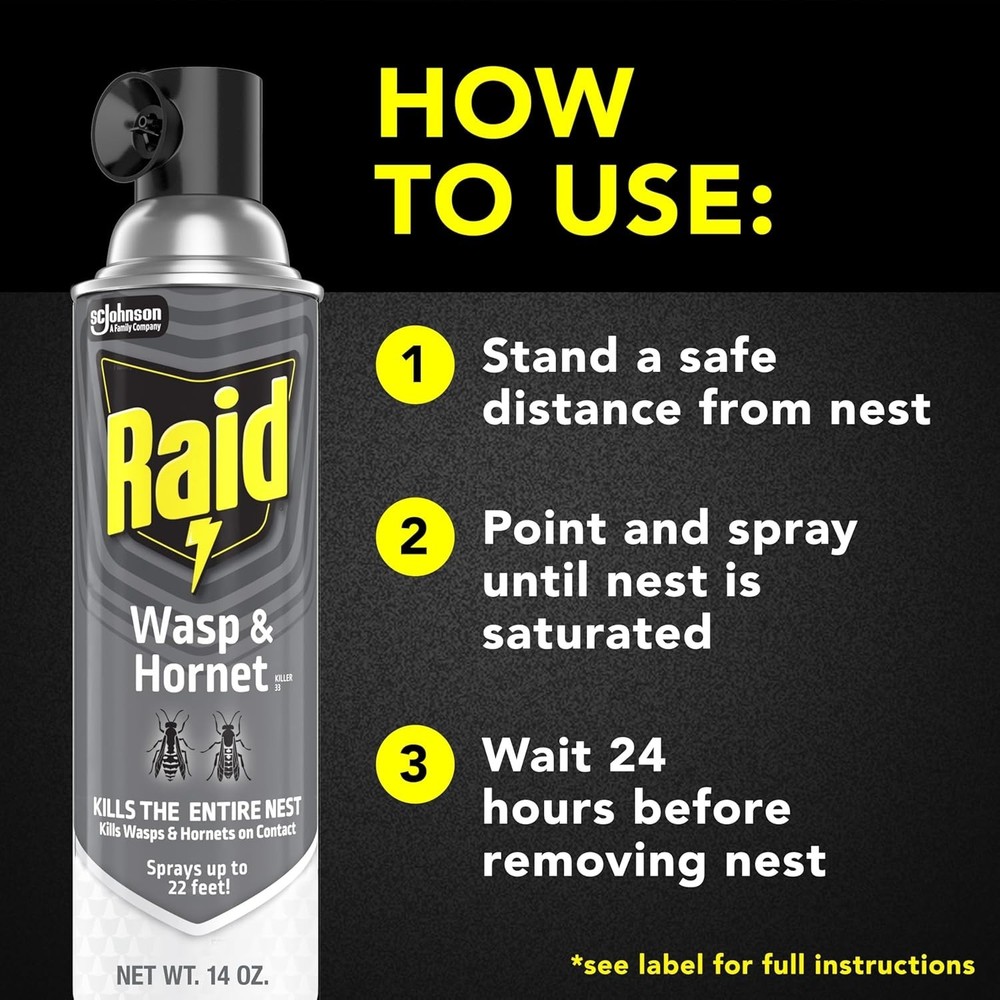 Raid Wasp & Hornet Killer Spray, Bug Killer Kills best and fast 2025