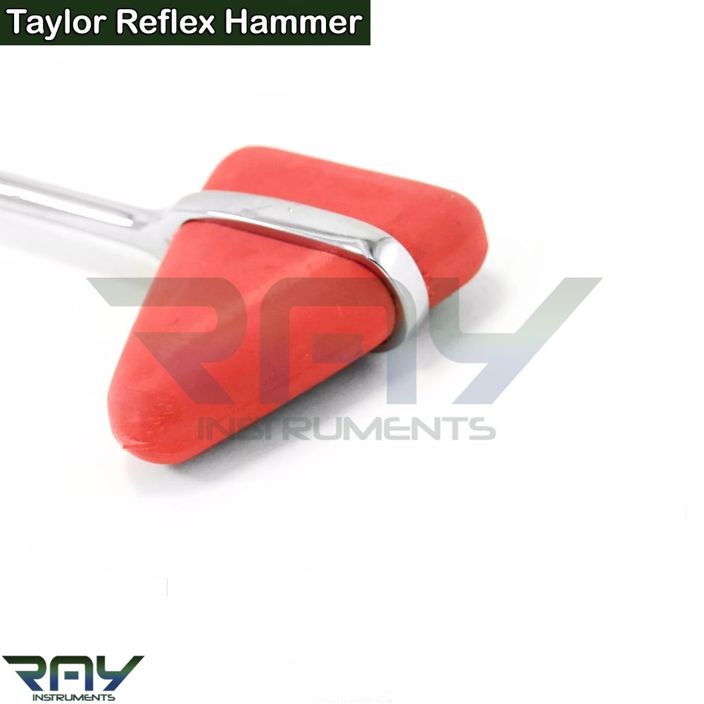 Neurological Taylor Percussion Reflex Hammer Surgical Diagnostic Instruments CE
