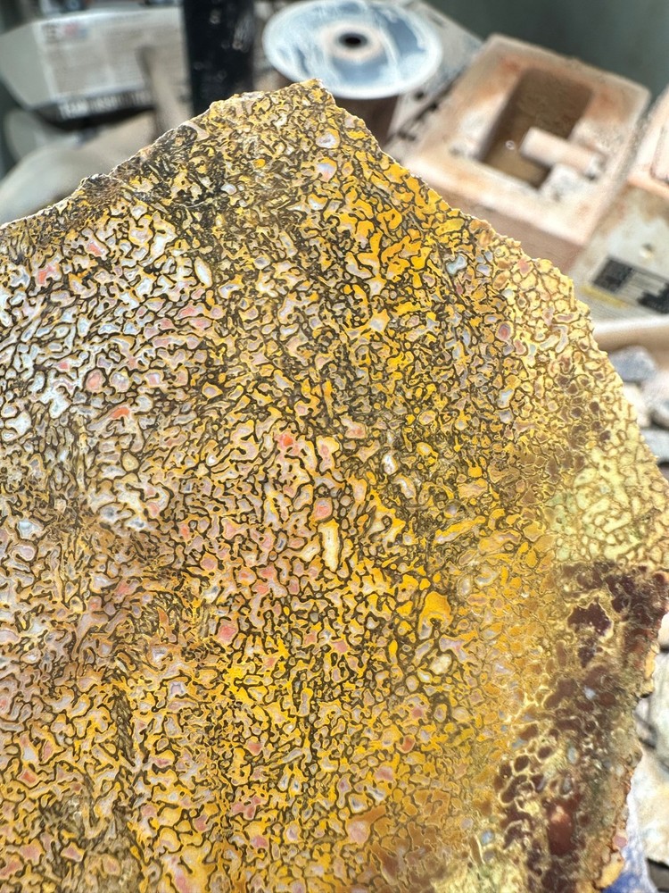 Dinosaur bone rough high grade slab.