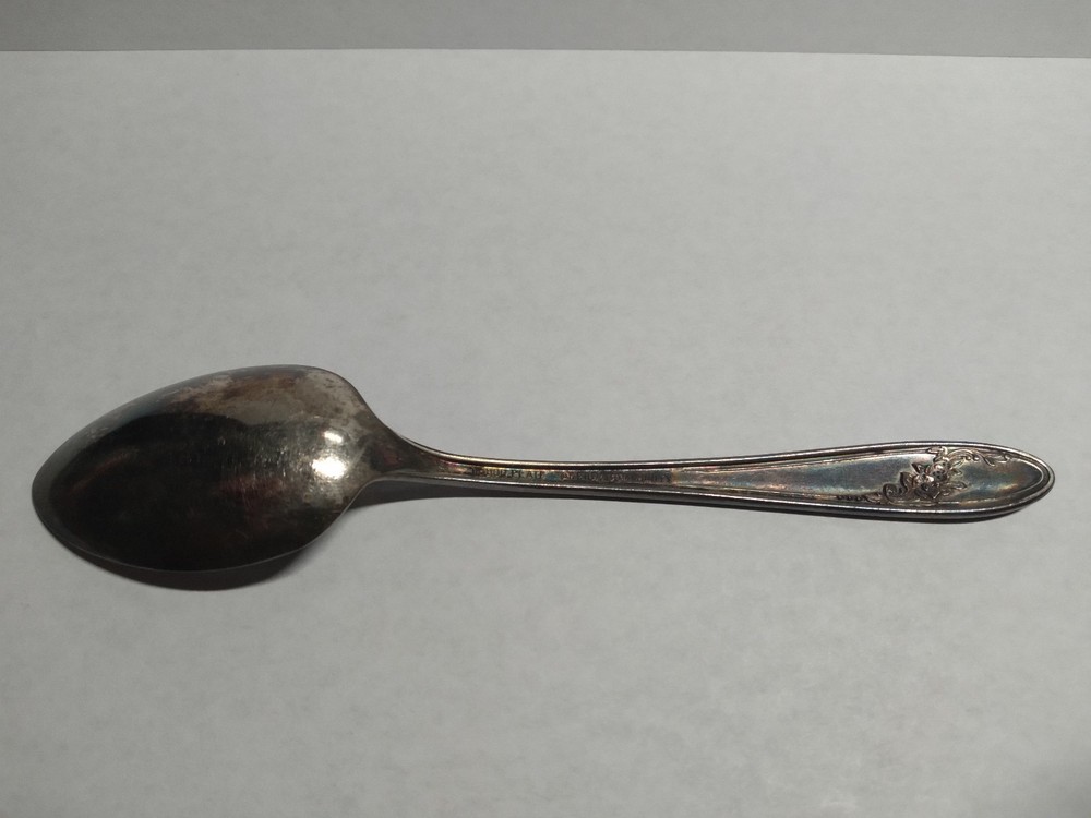 Onedia Silverplate Spoon - Floral Motif