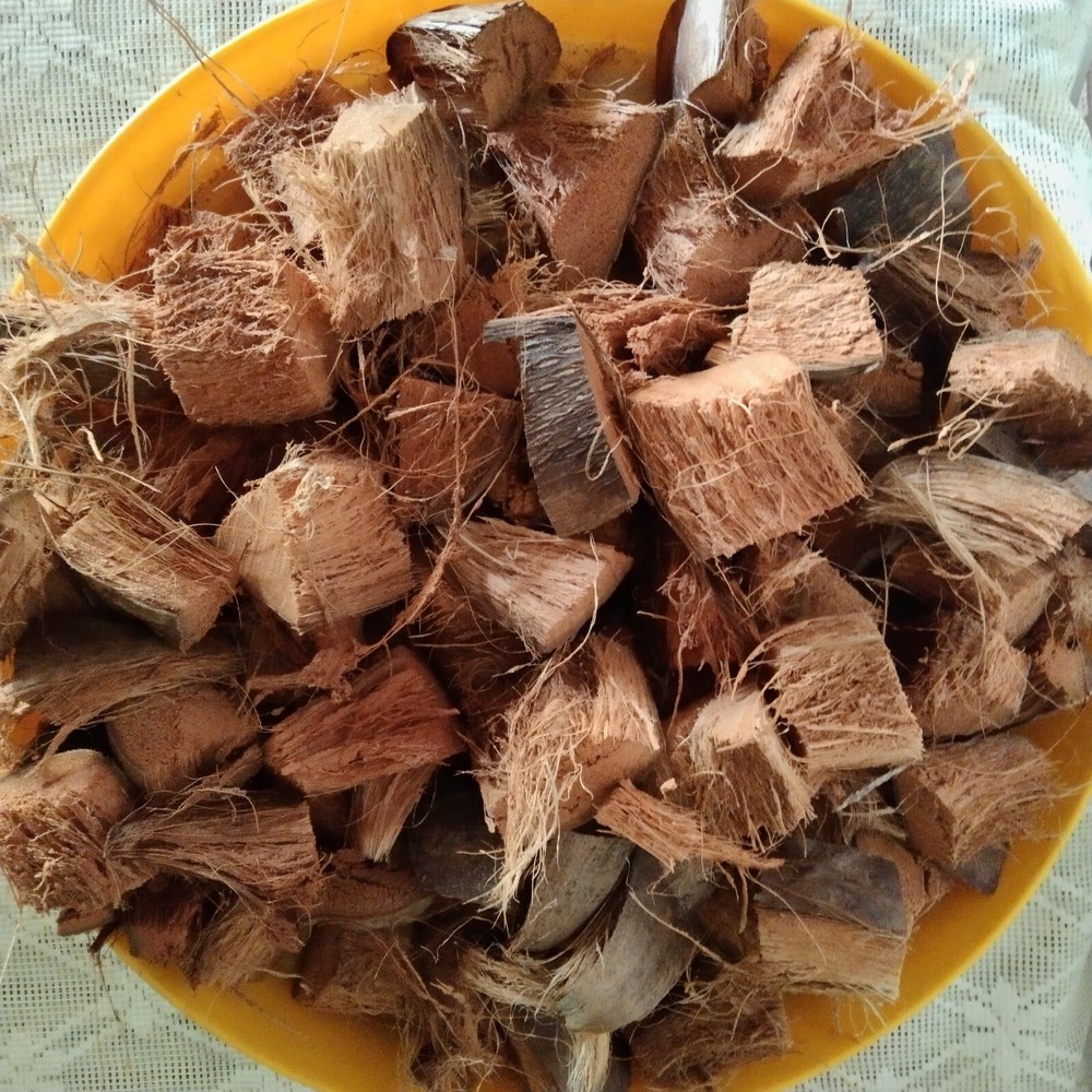 COCONUT HUSK CHIPS Anthurium GROWING MEDIUM moderate MOISTURE LEVEL Free Ship