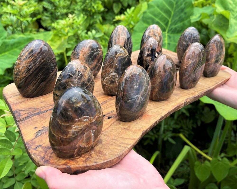 Black Moonstone Freeform - Beautiful Polished Free Standing Display Specimens