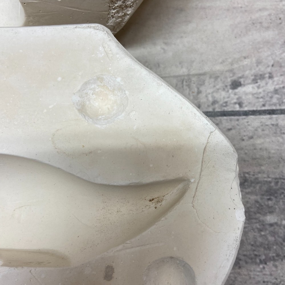 Ceramic Slip Casting Mold Mallard Duck Leila’s Professional #1004