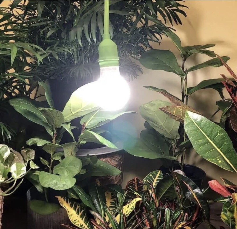 LED Miracle 6’ Single Socket Plug-in Grow Light Indoor Extension Cord Waterproof