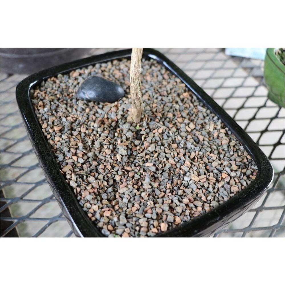 Professional Bonsai Soil - 2 lbs. (1 Qt.)