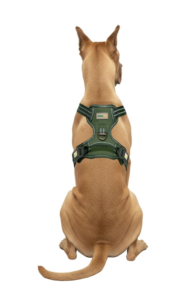 . No-Pull Dog Harness with Dual Leash Attachment Points, Soft Adjustable Padd...