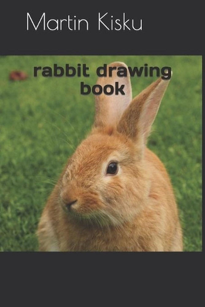 rabbit drawing book
