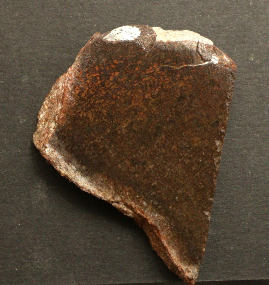 JG Agatized Gem Dinosaur Bone Slab 29.3 grams 036