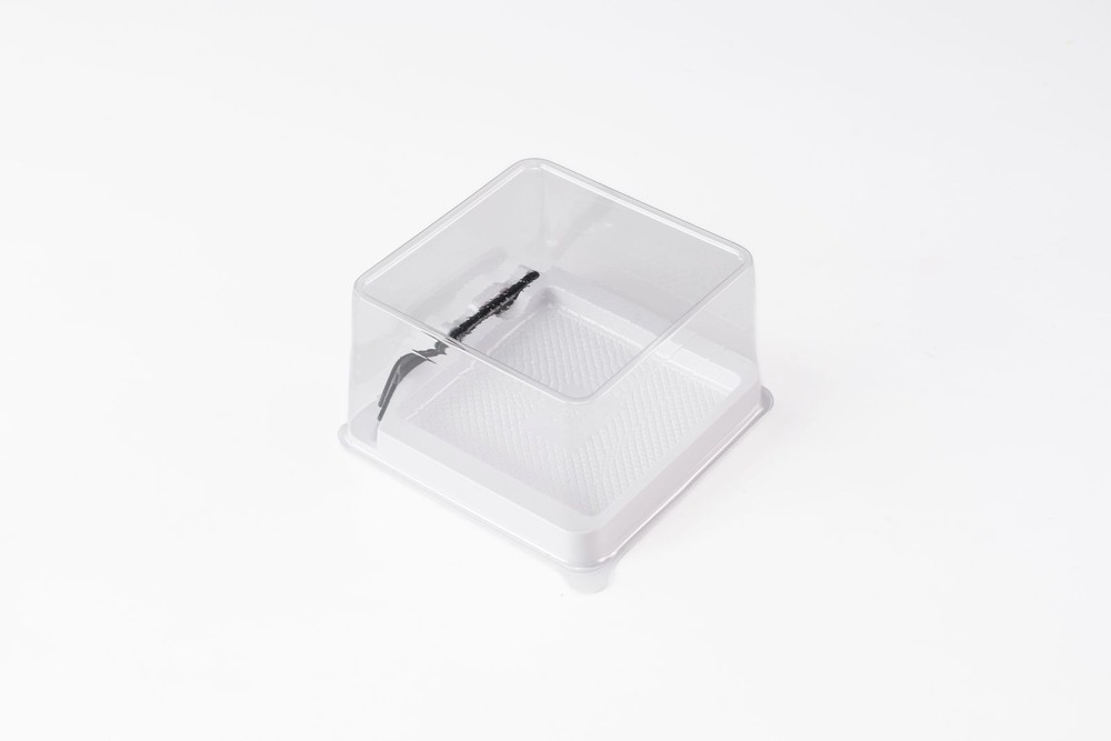 50 PCS ClearRoll Dessert Box 201