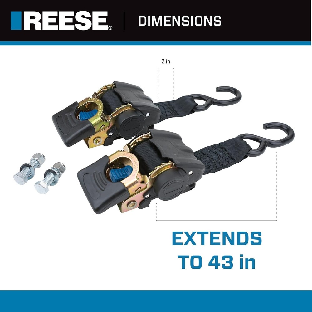 Powersports Retractable Transom Tie Down 2x43 Inch 833 lbs Load 2 Pack