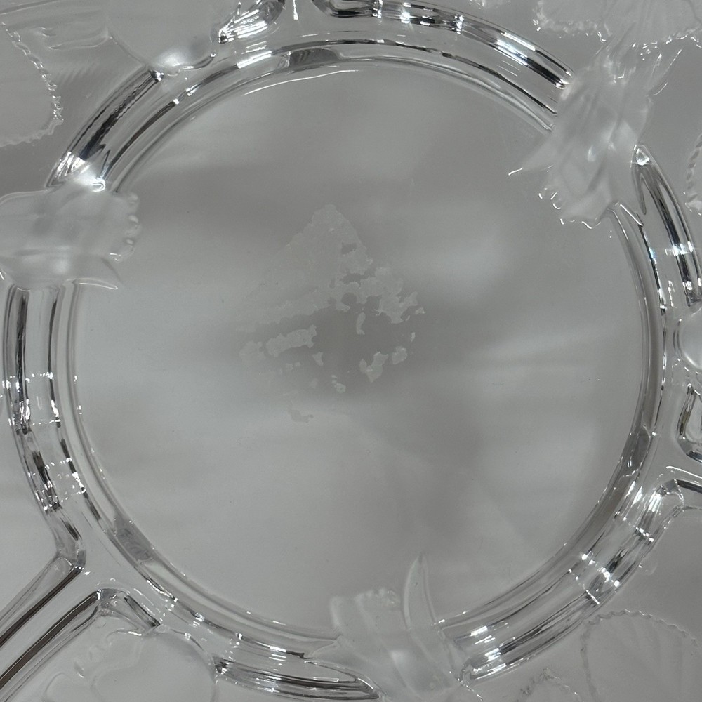 STUDIO NOVA Winter Rose Chip/Dip Server Glass Platter Heavy 14" Boxed Embossed