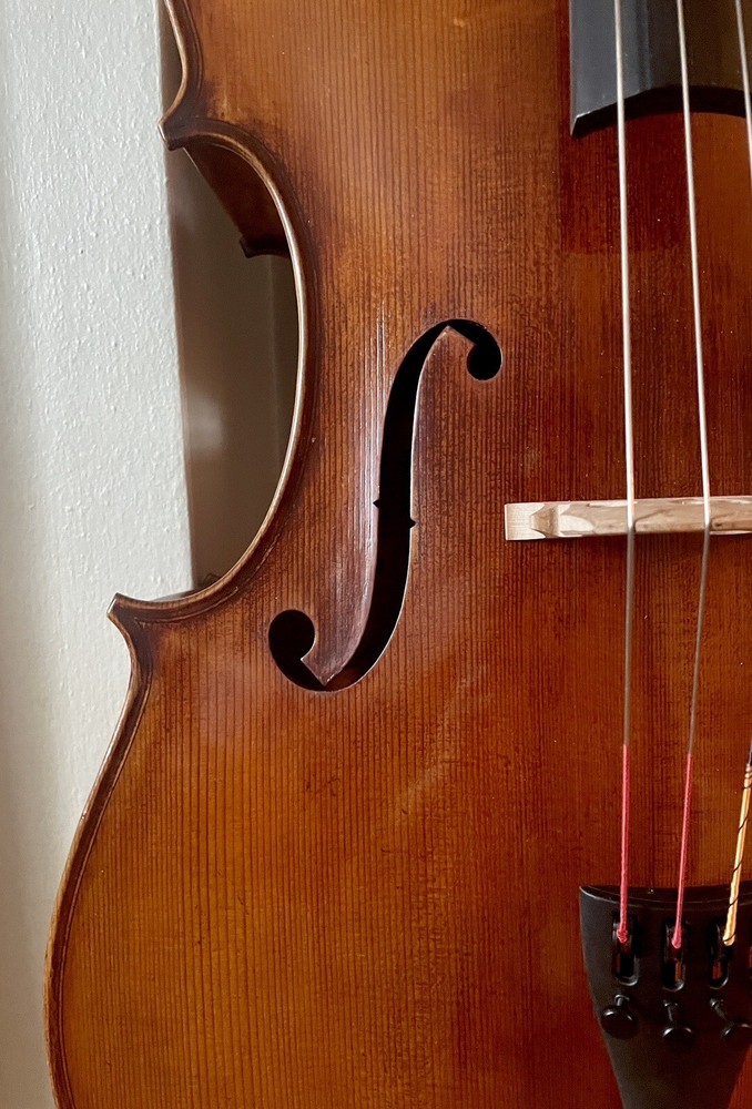 Raúl Emiliani cello