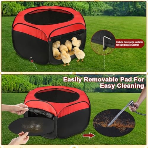 Chicken Brooder Box for Chick Starter Kit， 2026 Upgrade Double Door Chick