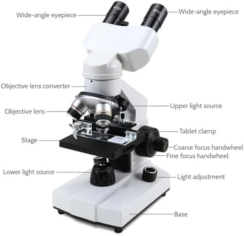 Compound Binocular Microscopes 40X-2000X with Microscope Prepared Slides 30P,For