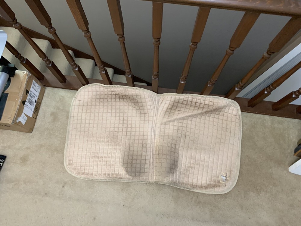 SLT Dressage Pad