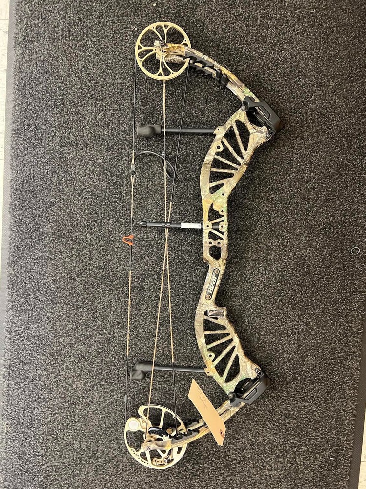 bear approach compound bow