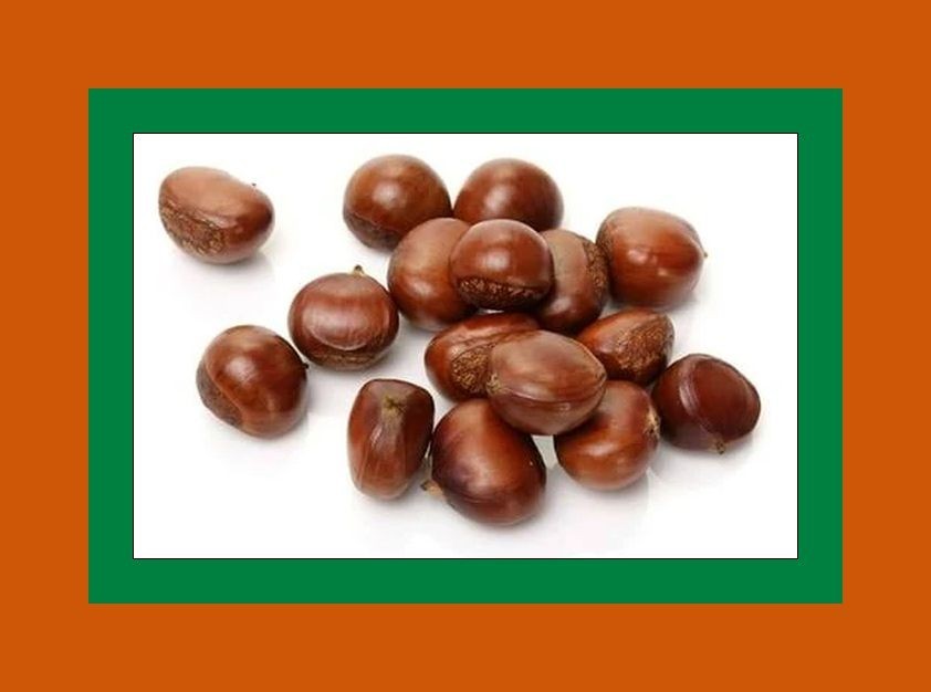 Fresh Chestnuts-Just arrived fresh-4 Lbs