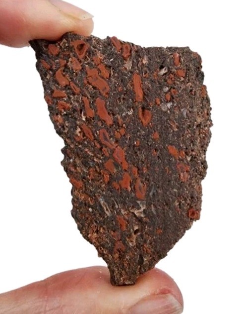 Dinosaur Gem Bone Slab 20.9 grams.