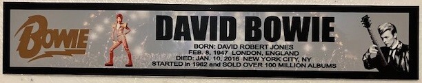 DAVID BOWIE  FULL COLOR NAME PLATE