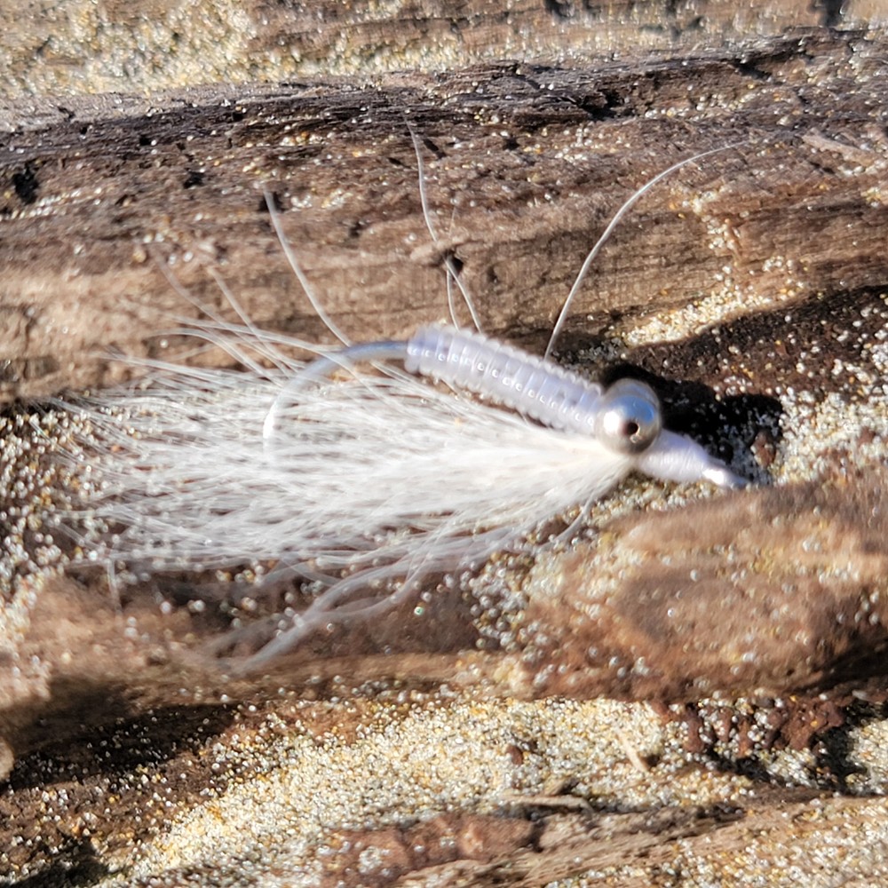 Crazy Charlie White | Size #2/0