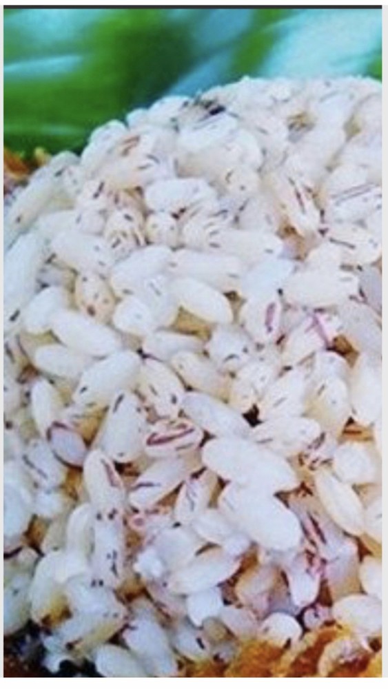 Ofada Rice/Nigerian Local Rice/Rice 5lbs.