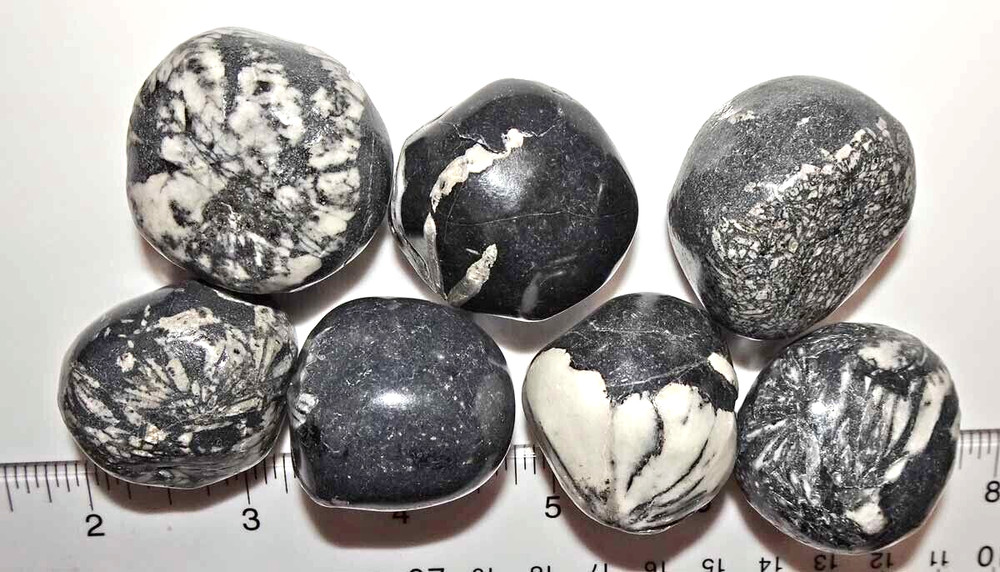 Chrysanthemum Stones - 7 Polished Stones  rt399d