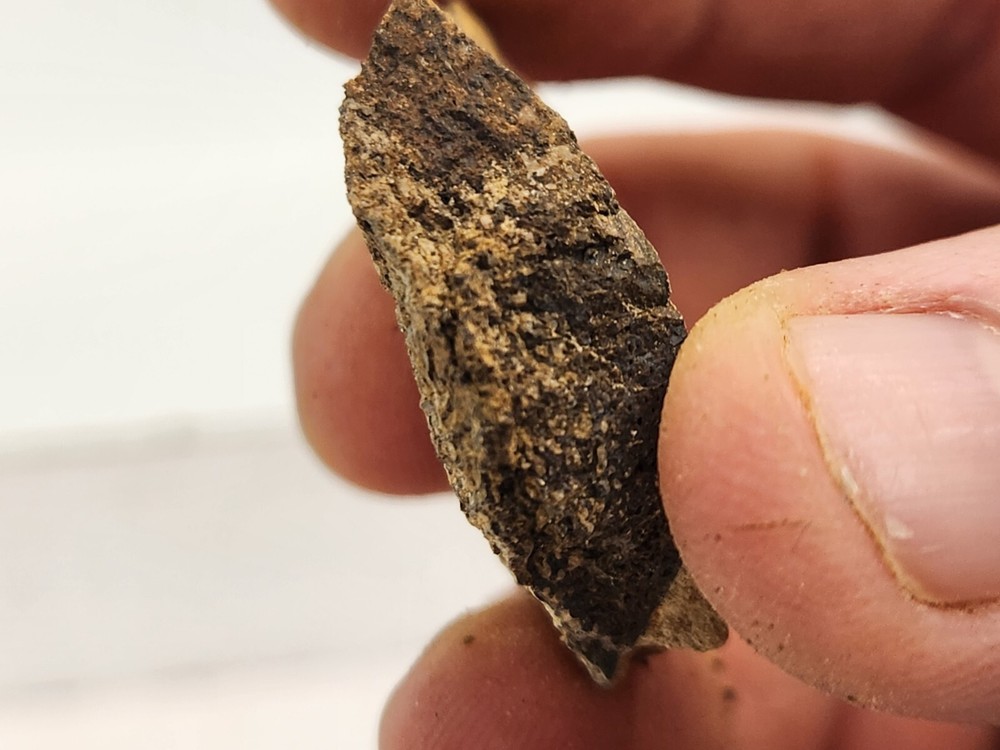 Dinosaur Bone Fossil Prep Projects - Morrison Fm. - Self Dug - Big Horn Co., WY