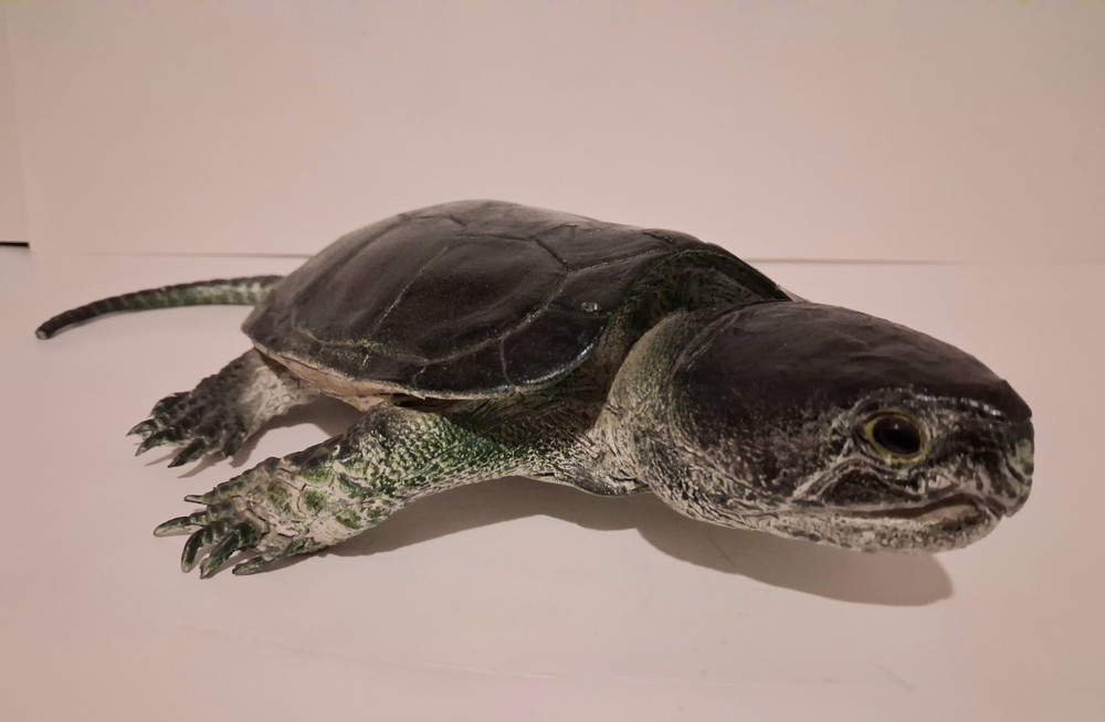 AAA Realistic PVC Big Headed/Snapping Turtle