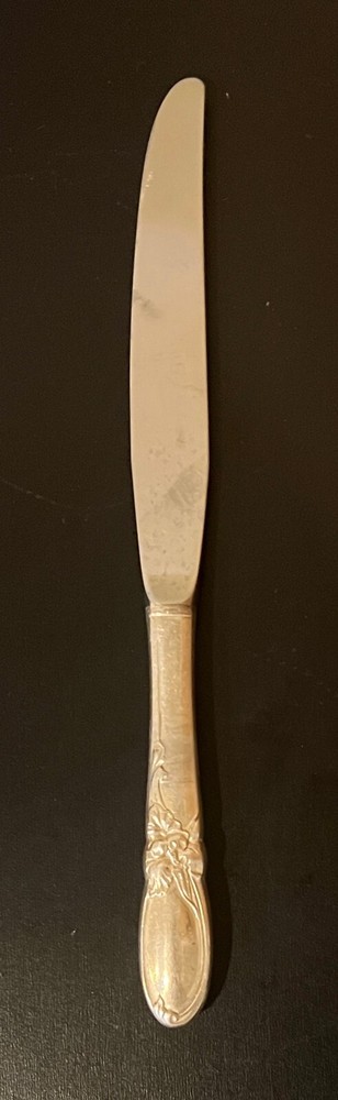 Oneida Community White Orchid Dinner Knife 9.5" Silver Plate Handle