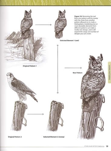 Pyrography Patterns 30 Wildlife Woodburning Designs, Basic Techniques, Texturing