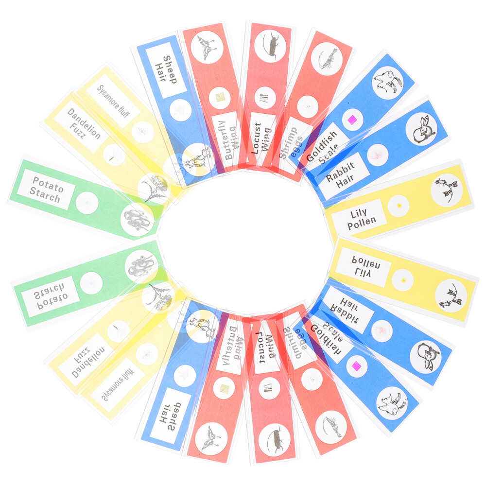 36 Pcs Microscope Slide for Science Education Biology Child