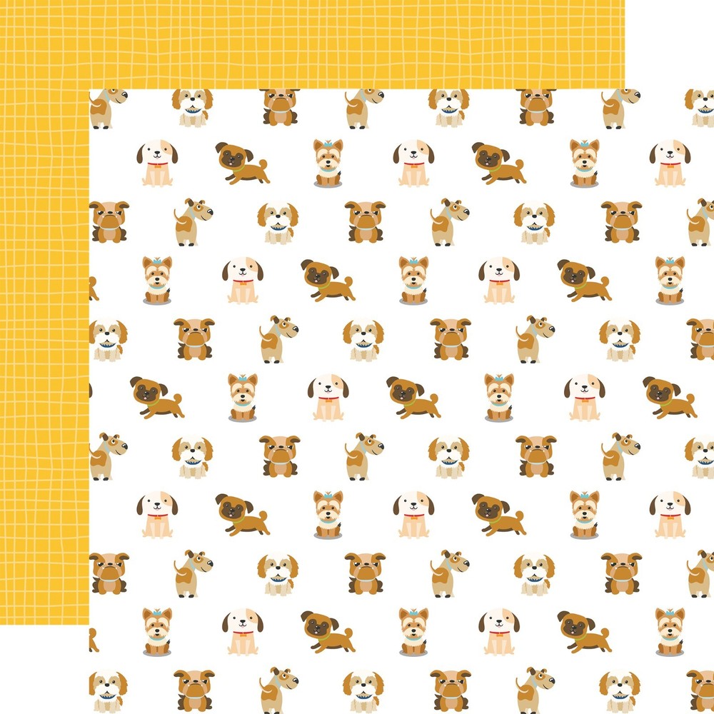 Pets Echo Park Collection Kit