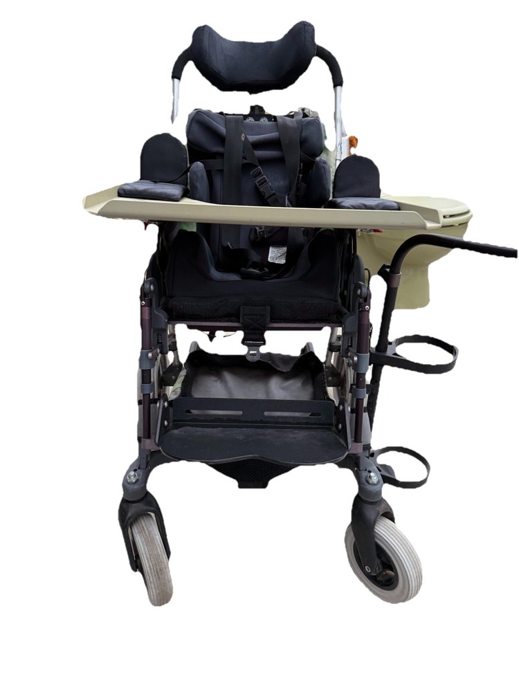 Special Needs Kid Kart Used