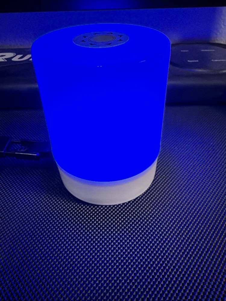 BEDHEAD Night Light LED Bedside Desk Table Lamp Dimmable USB Rechargeable