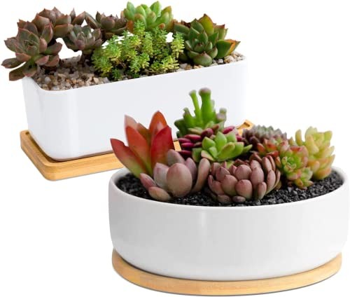 White Ceramic Succulent Plant Pots, 1 Rectangular Flower Pot Rectangular+round