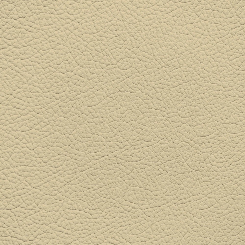 GM Very Light Cashmere Leather Dye