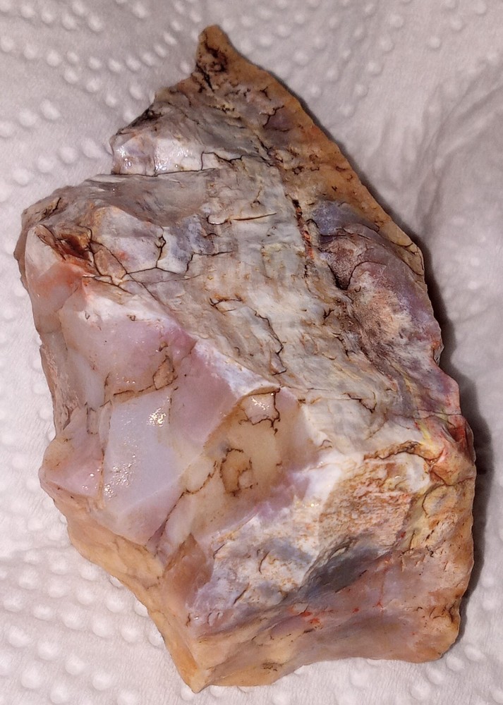 Petrified Rainbow Wood Rough AZ