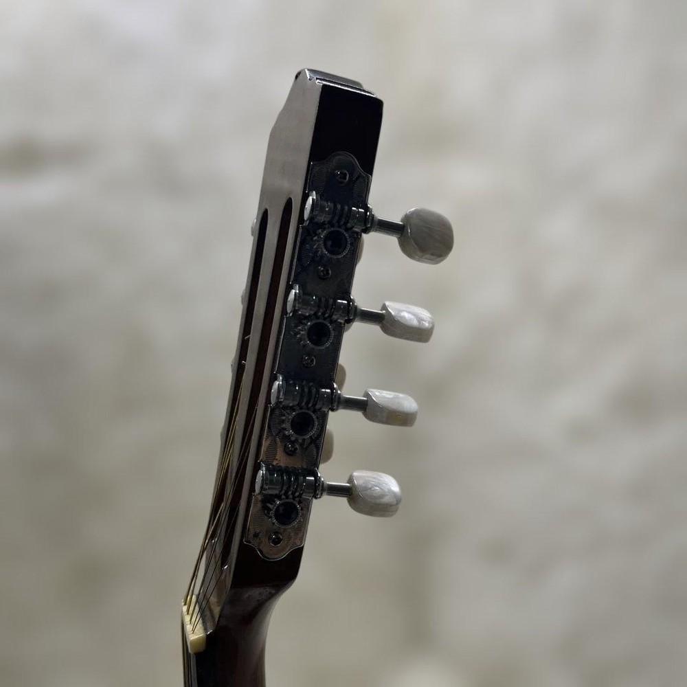 SUZUKI Mandolin M-218 1974