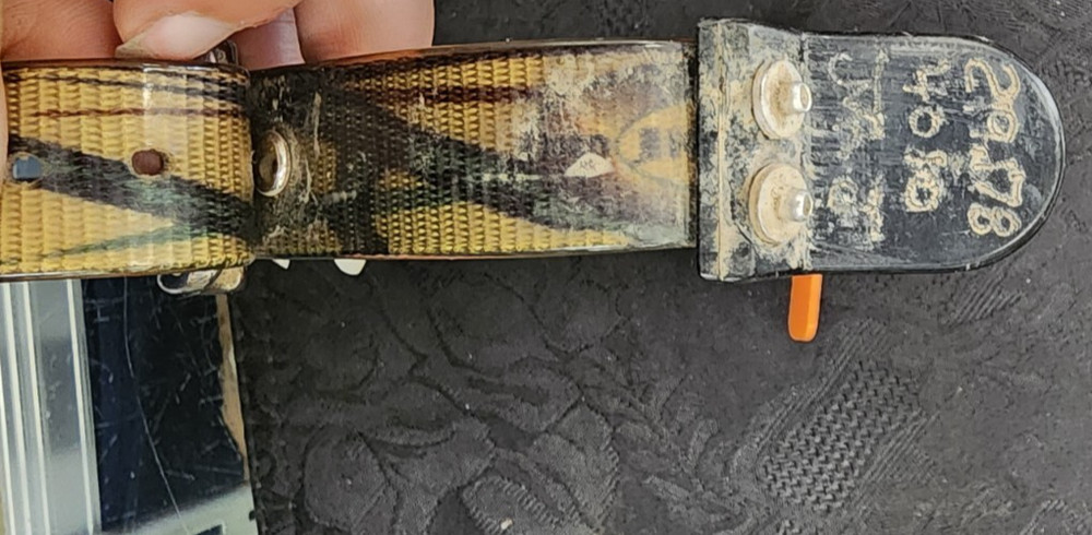 Hunting Dog Tracking Collar