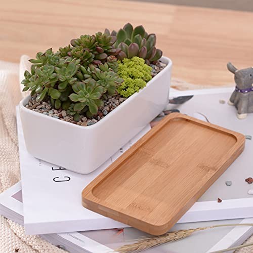 White Ceramic Succulent Plant Pots, 1 Rectangular Flower Pot Rectangular+round