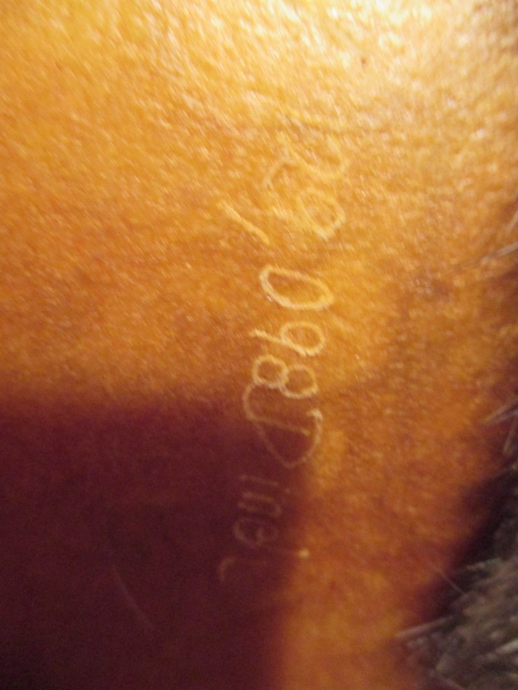 NATIVE AMERICAN BOW & QUIVER