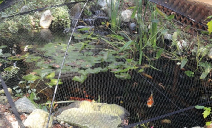 Atlantic Watergardens Pond & Garden Protector with Frame and Net 9' x 12'