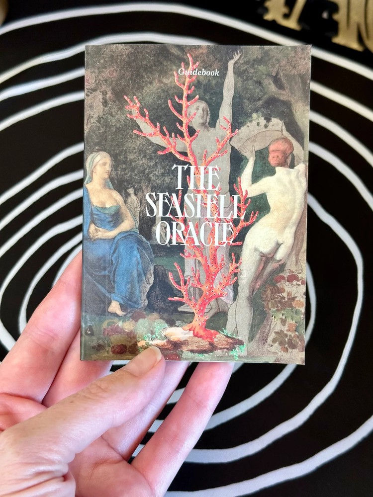 The Seashell Oracle Deck 44 Card Deck for Divination by Broccoli